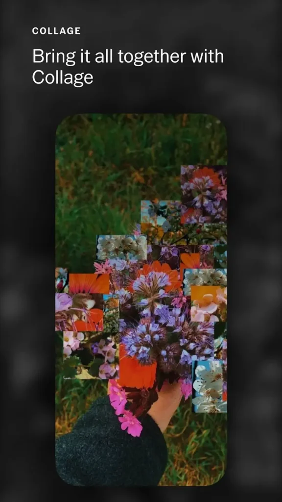 vsco unlock all filters