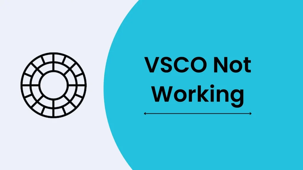 VSCO Not Working - Perfect Troubleshooting Guide